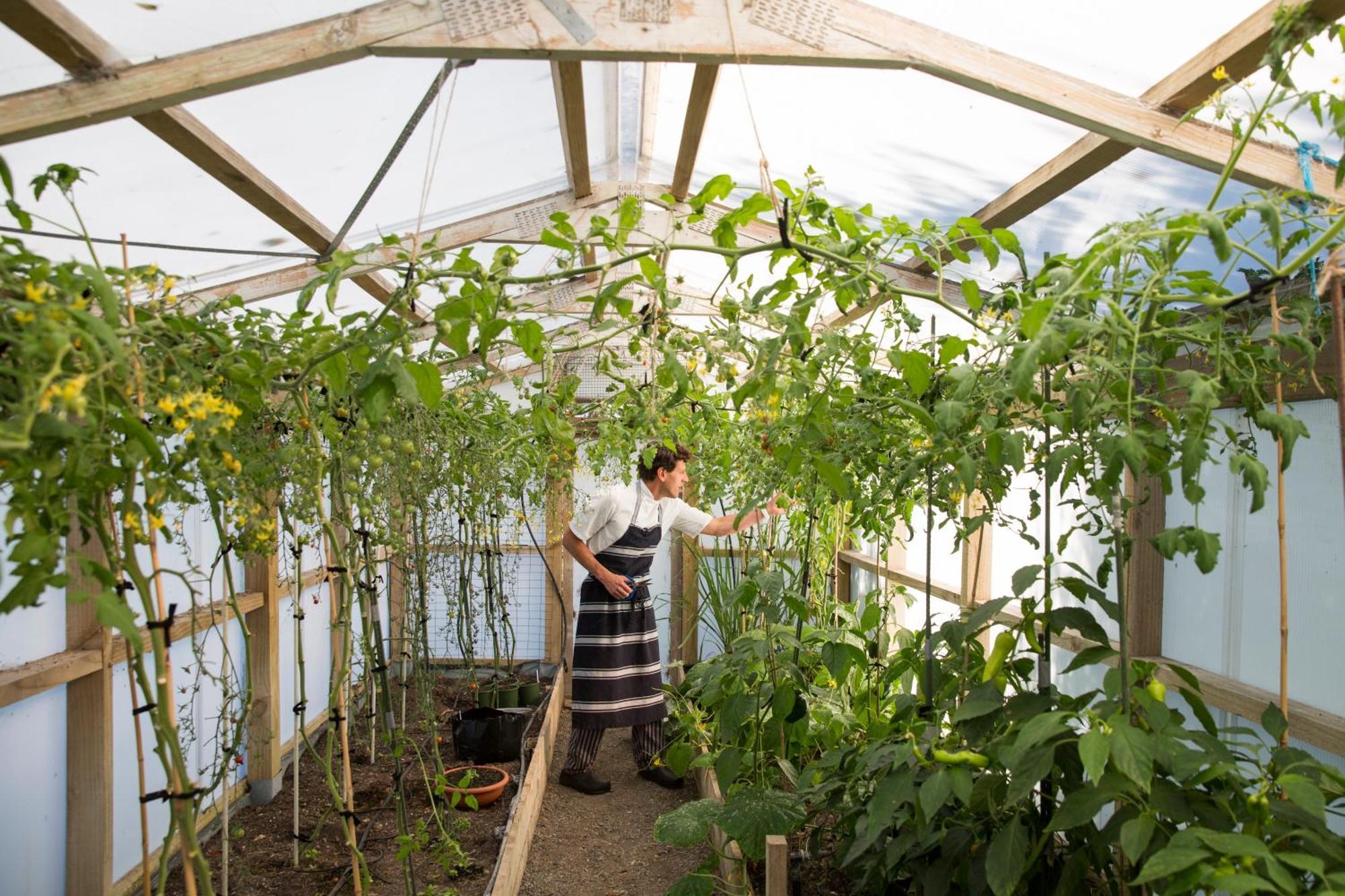 树屋山林小屋 Hapuku 外观 照片